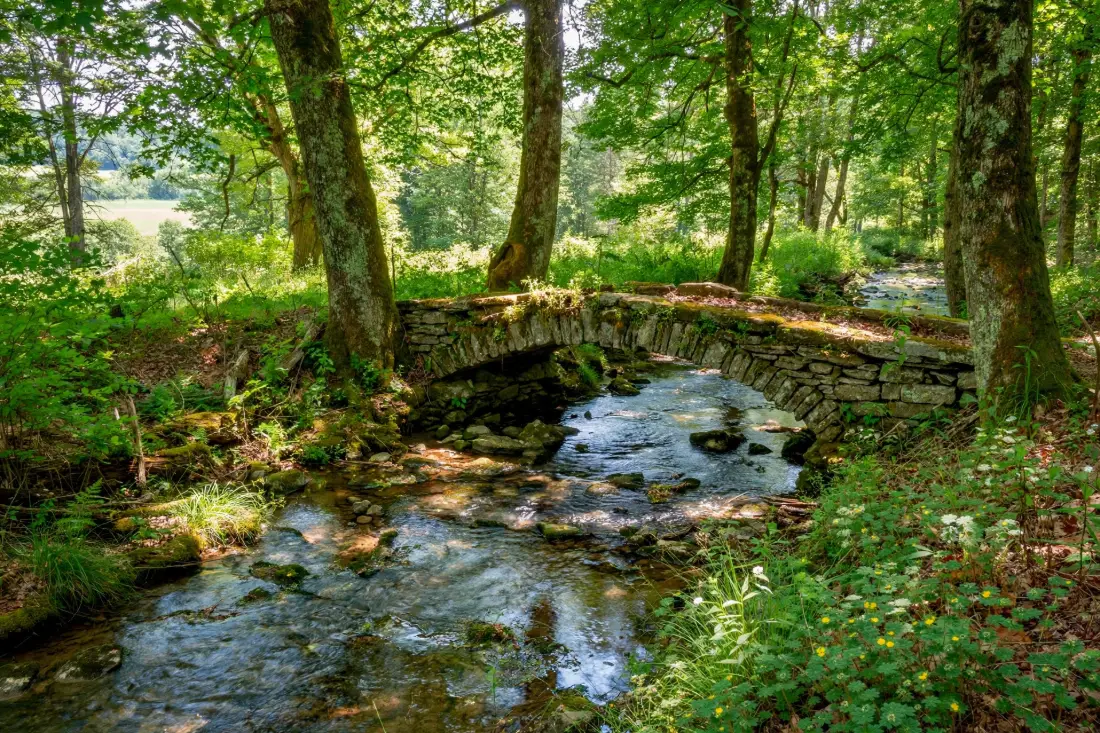 Small creek winding through trees with a stone footbridge